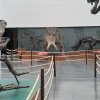 Universum Museo de las Ciencias - 1 thumb
