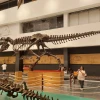 Universum Museo de las Ciencias - 2 thumb