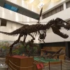 Universum Museo de las Ciencias - 3 thumb