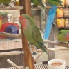 Petco Universidad - 1 thumb