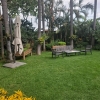 Terraza y miel - 3 thumb